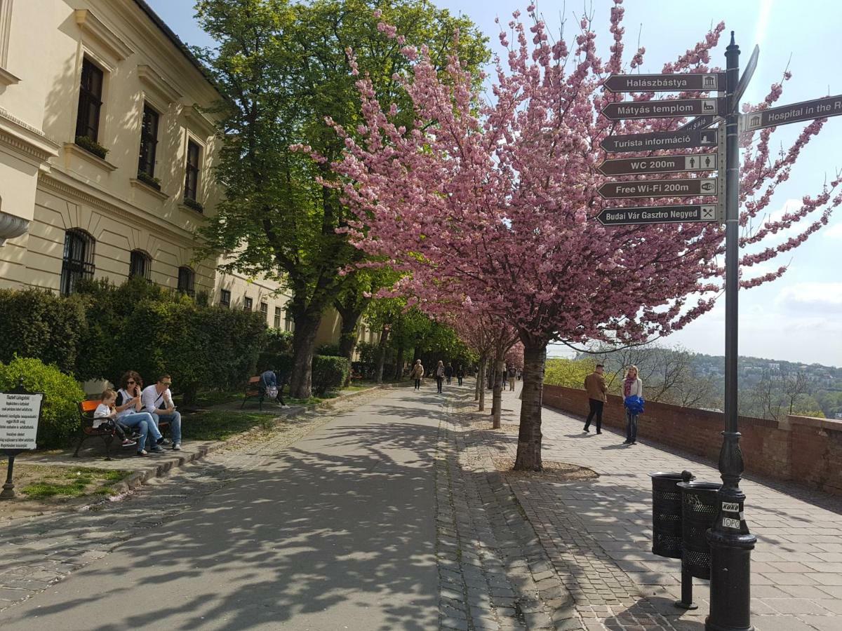 Budasmile Appartment At Buda Castle - Aircon & Free Parking บูดาเปสต์ ภายนอก รูปภาพ